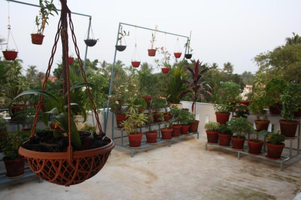 Aaron'S Homestay Kochi Εξωτερικό φωτογραφία